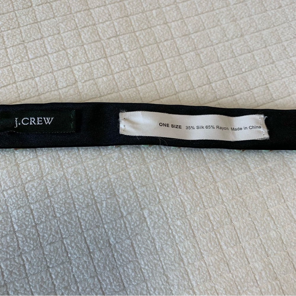 J Crew beaded ribbon sash belt - Picture 8 of 9